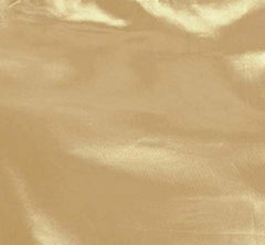 Trendzmy Woman's Satin Beige Petticoat
